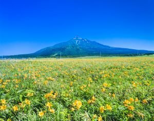 Hokkaido Travel